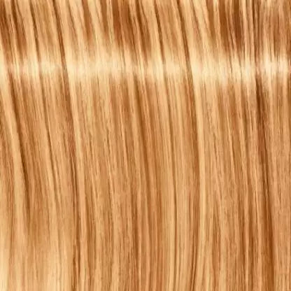 Schwarzkopf Igora Royal Hair Color