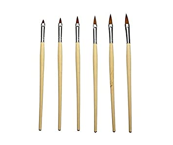 Shills Professional Nail Art Brushes Set