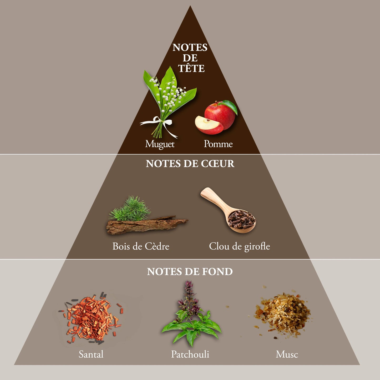 EVAFLOR PARIS WHISKY DOUBLE• Eau de Toilette 100 ml • Men's Perfume