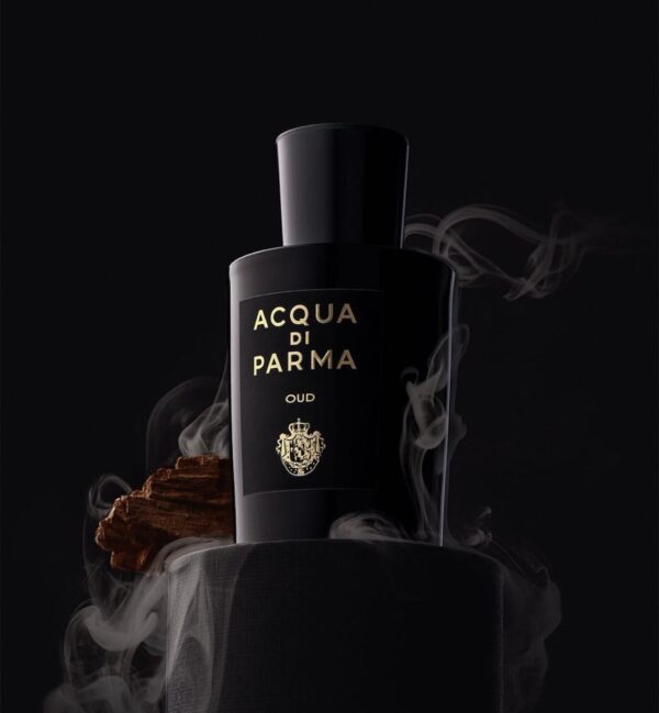 Acqua Di Parma Oud & Spice Edp Perfume For Men 100ml