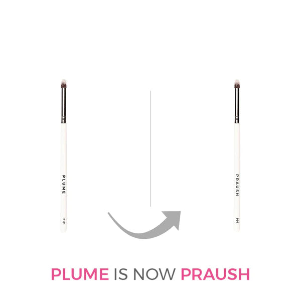Plume EYE SHADOW PENCIL / SMUDGER BRUSH P19
