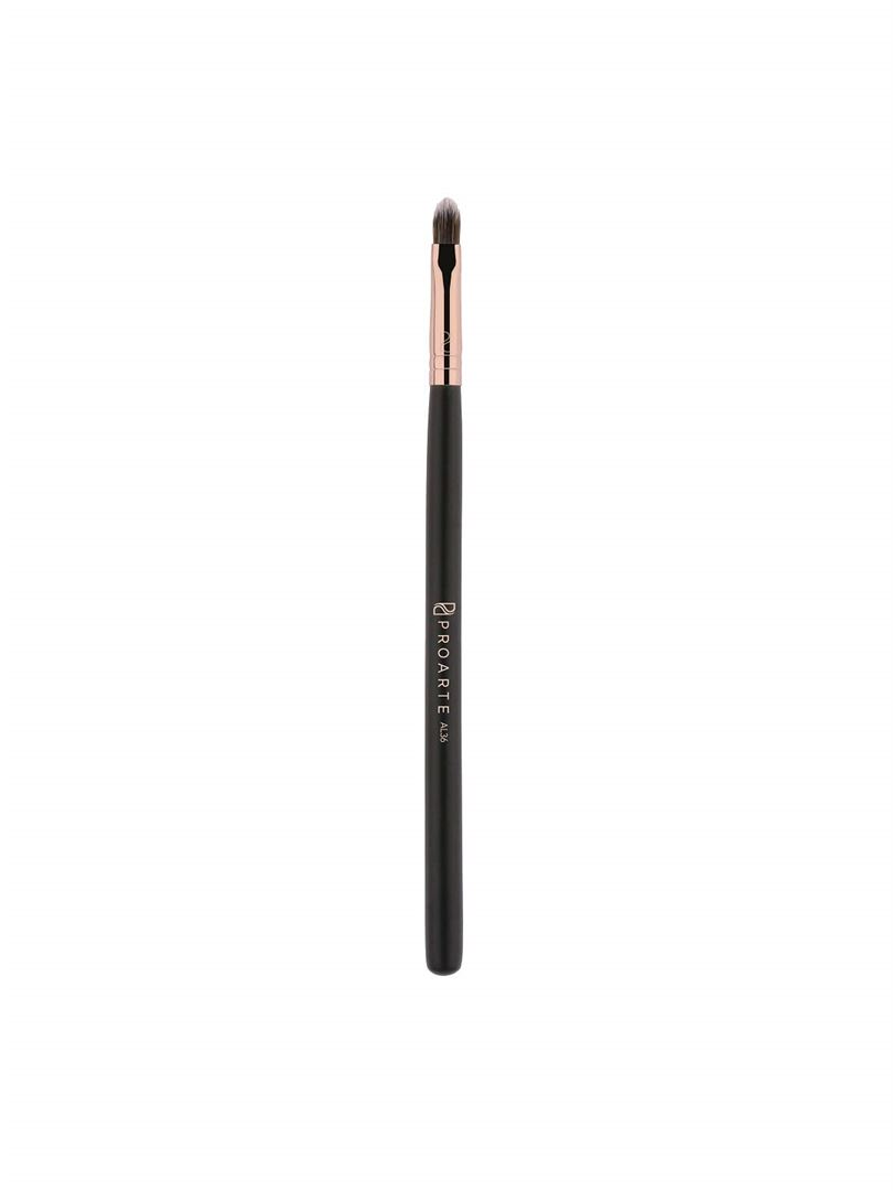 Proarte Pro Lip Precision Makeup Brush Black AL36