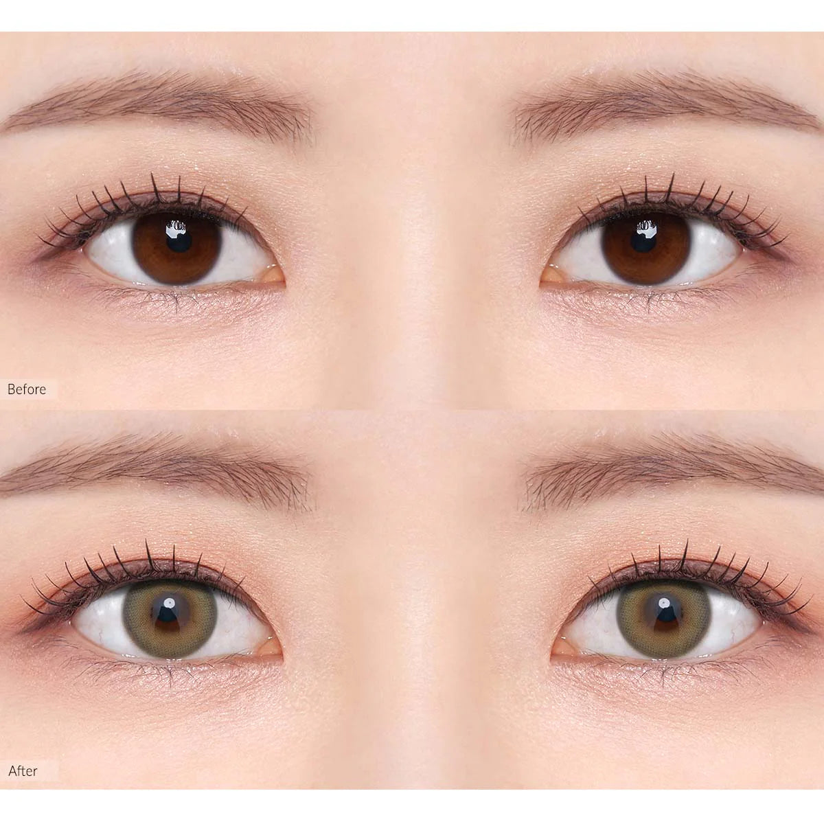 O-LENS 1 Day - Coloured Contact Lens (Daily) - 5 Pair(10pcs)