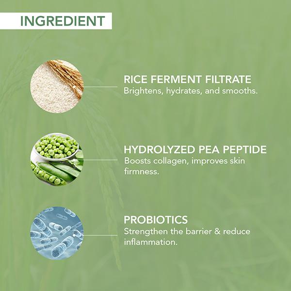 O3+ Mijoo Korea Glass Glow Facial Kit with Rice Water & Probiotics for Radiance - All Skin Types 50 gm