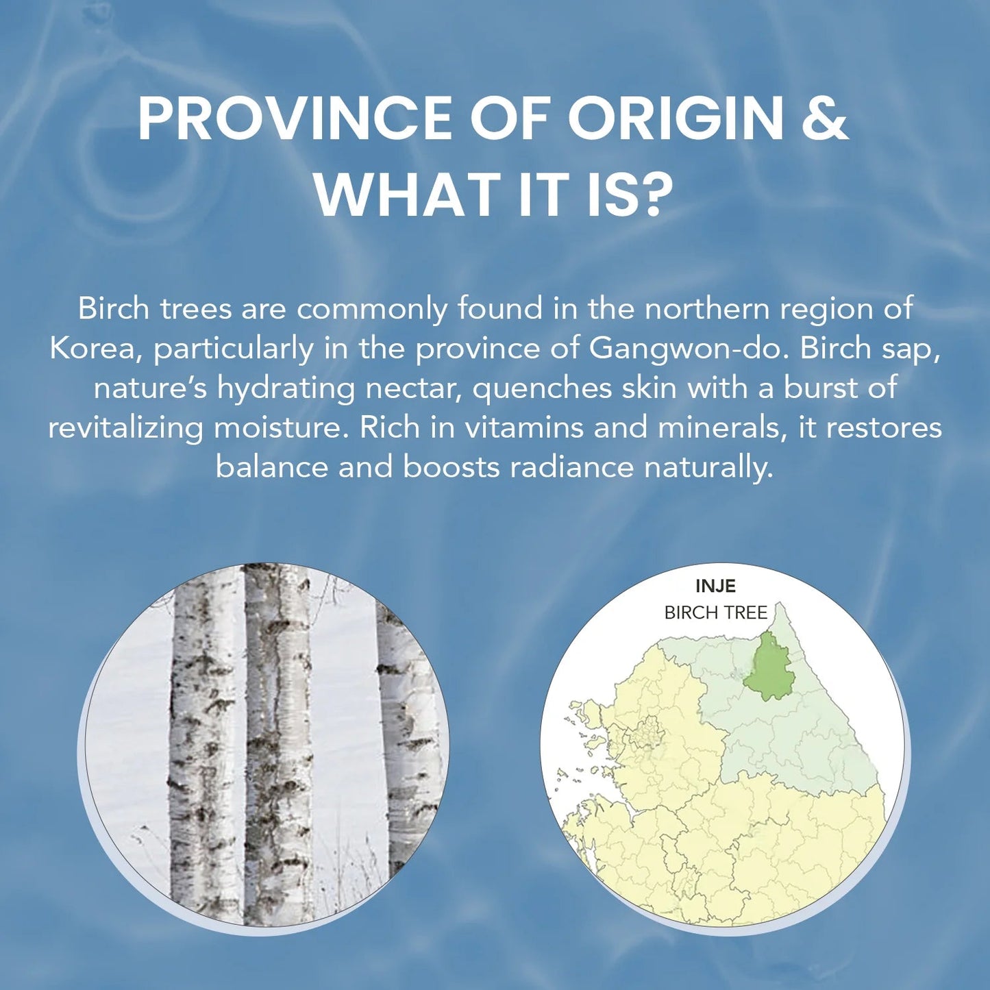 O3 + Mijoo Korea Glass Glow Facial Kit With Birch Tree Sap & Hyaluronic Acid - Ideal For Dry Skin