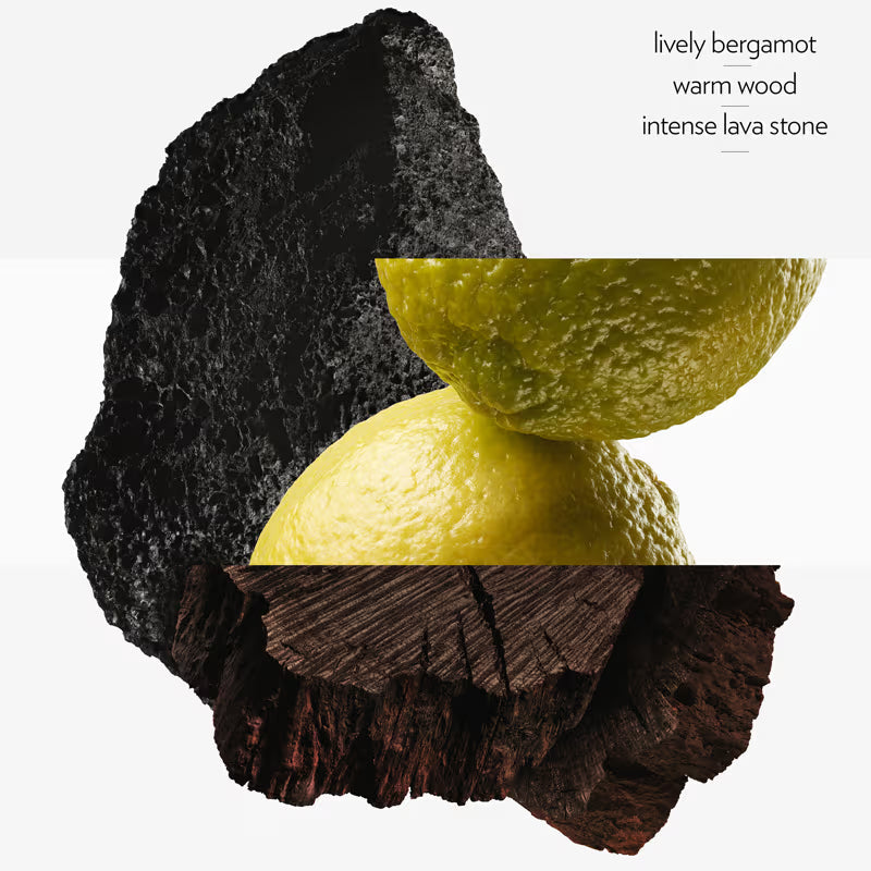 Hermès Terre d'Hermès, Eau de Parfum Intense (100ml)