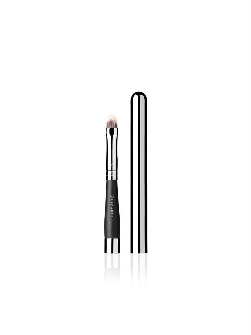 Proarte Retractable Lip Makeup Brush PL37
