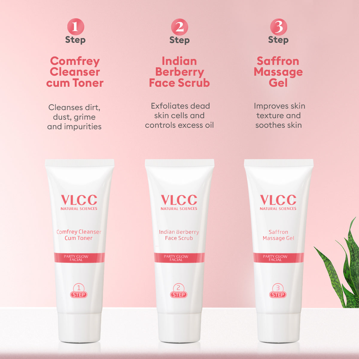 VLCC Party Glow Facial Kit 60g