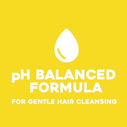 OGX Kukui Oil Shampoo Hydrate Plus Defrizz 13oz (385ml)