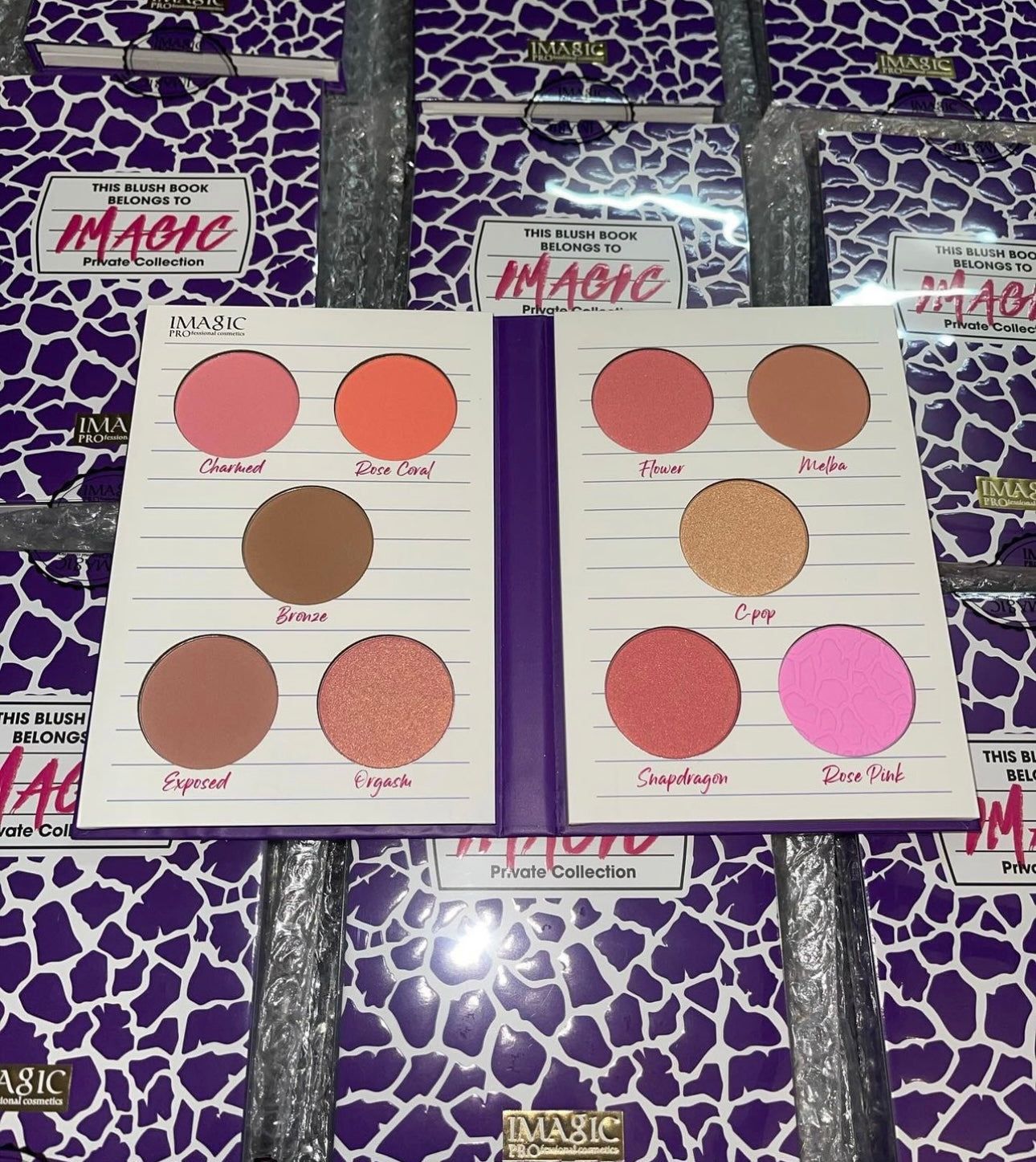 IMAGIC BLUSH BOOK BELONGS TO IMAGIC PRIVATE COLLECTION IMAGIC PRO FESSIONAL COSMETICS 39.8G