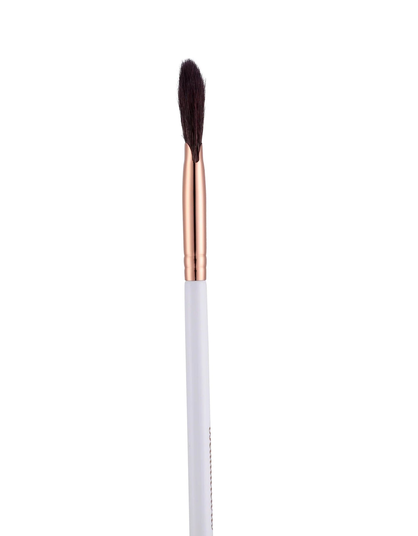 Beautilicious Fan Brush small BLF 212