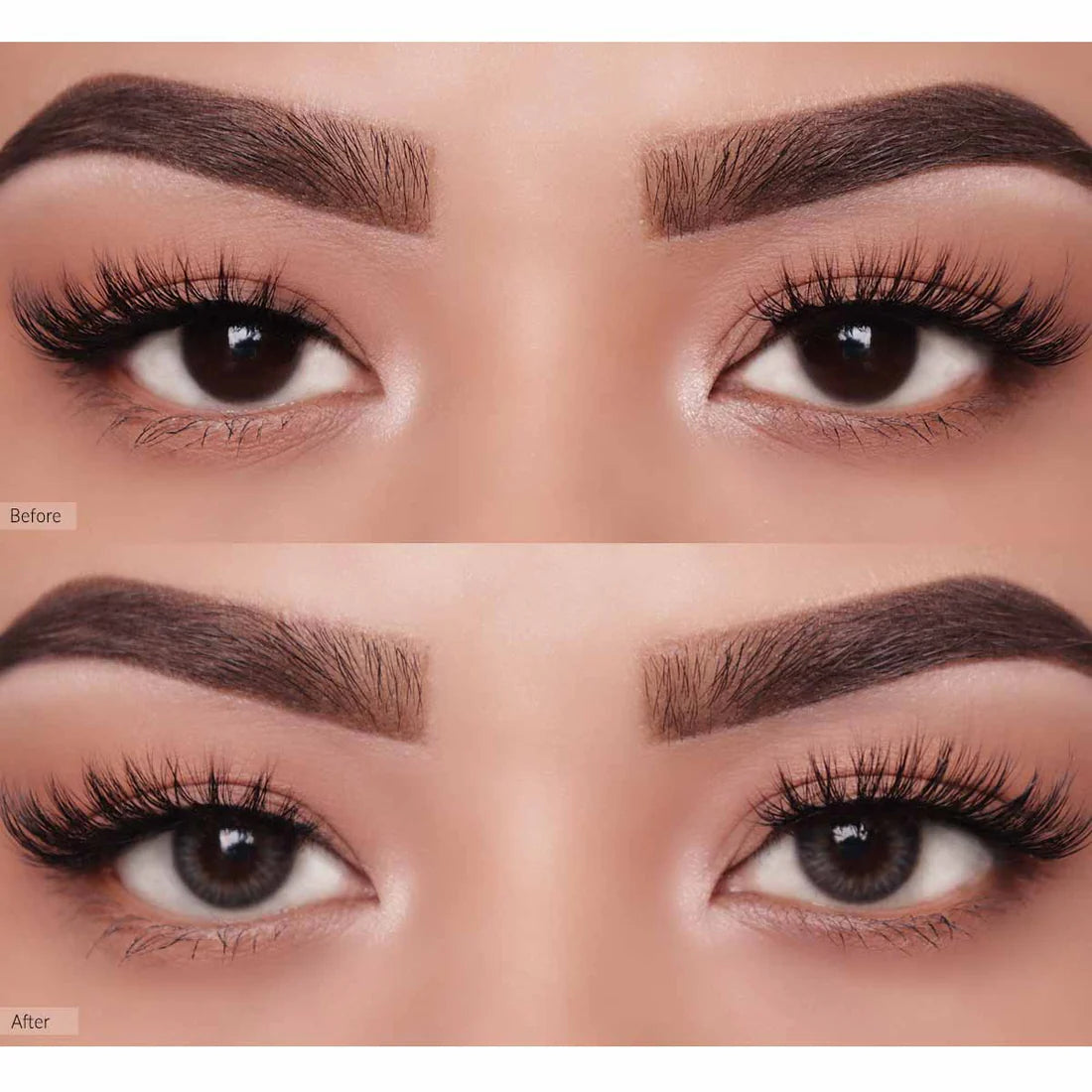 O-LENS 1 Day - Coloured Contact Lens (Daily) - 5 Pair(10pcs)