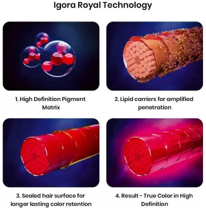 Schwarzkopf Igora Royal Hair Color