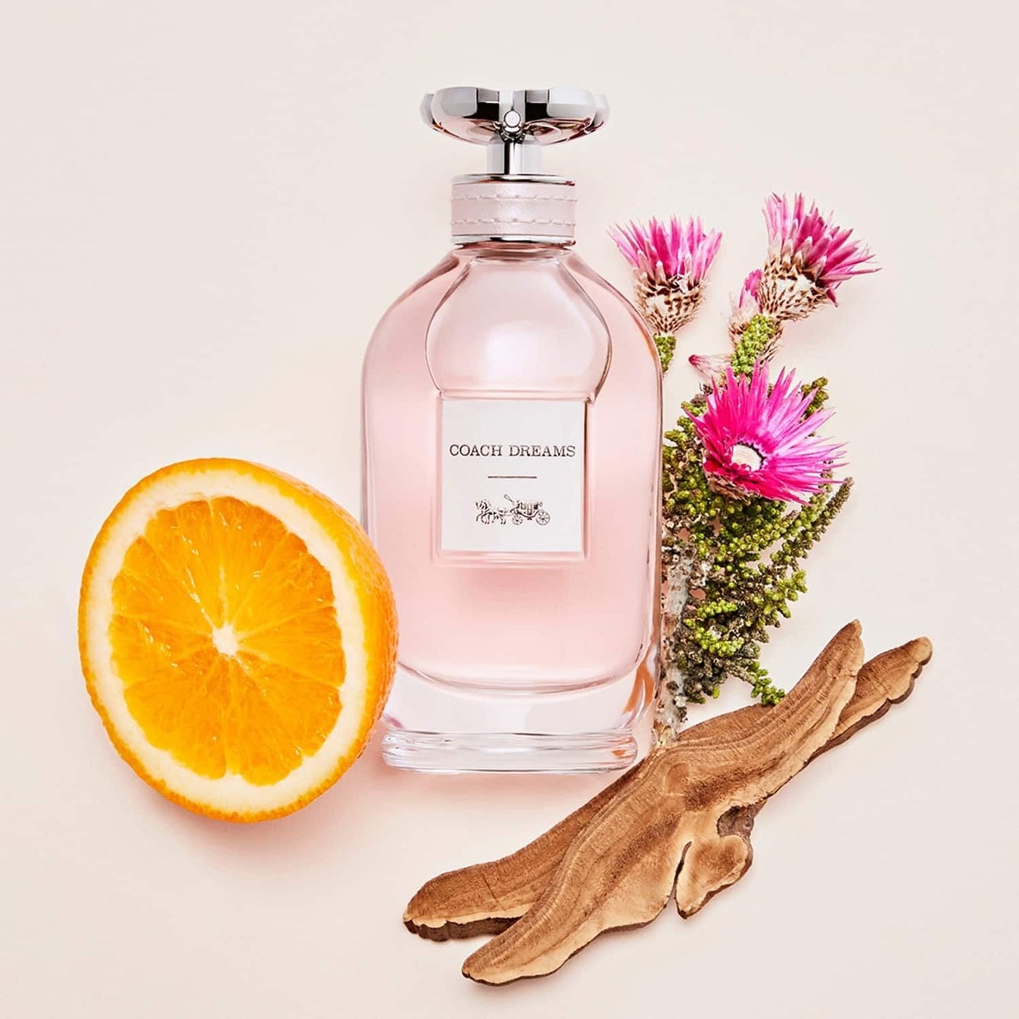 Coach Dreams Eau De Parfum (90ml)