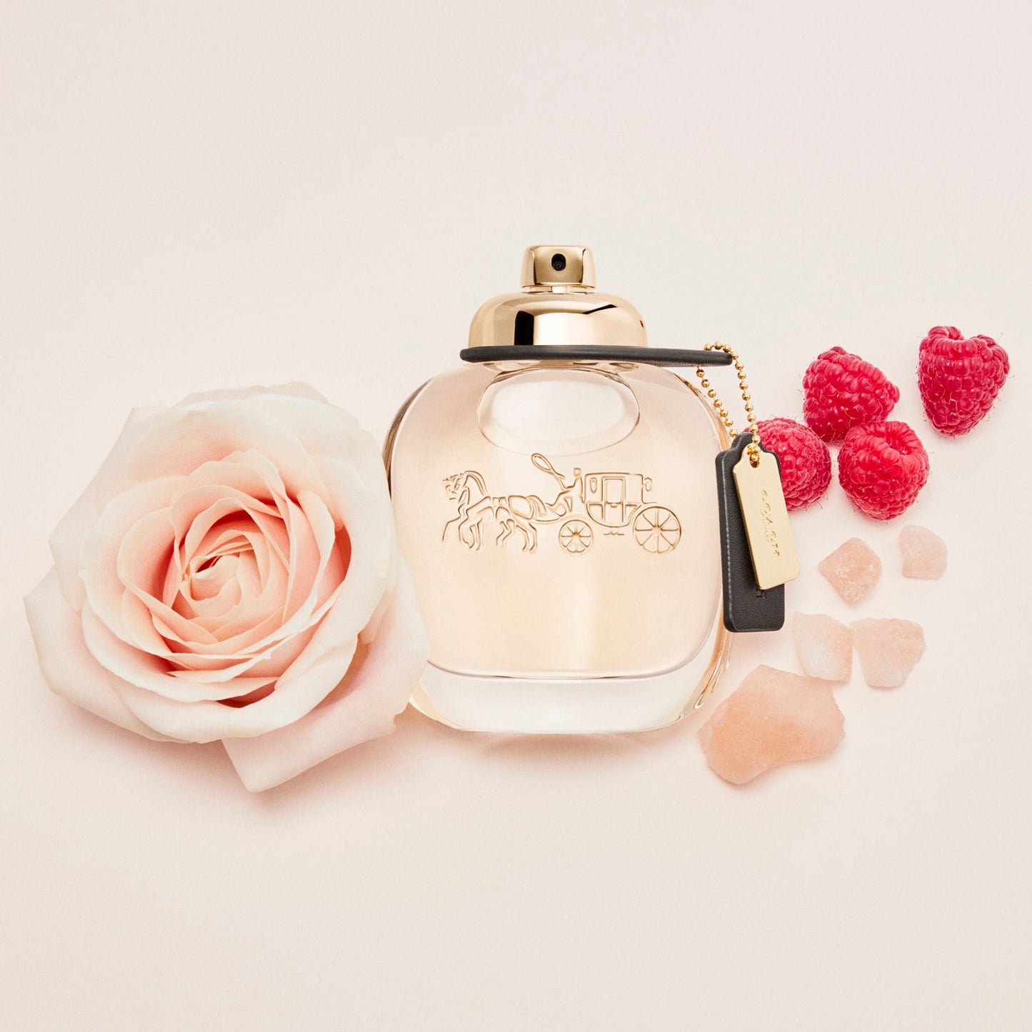 Coach Eau De Parfum (90ml)