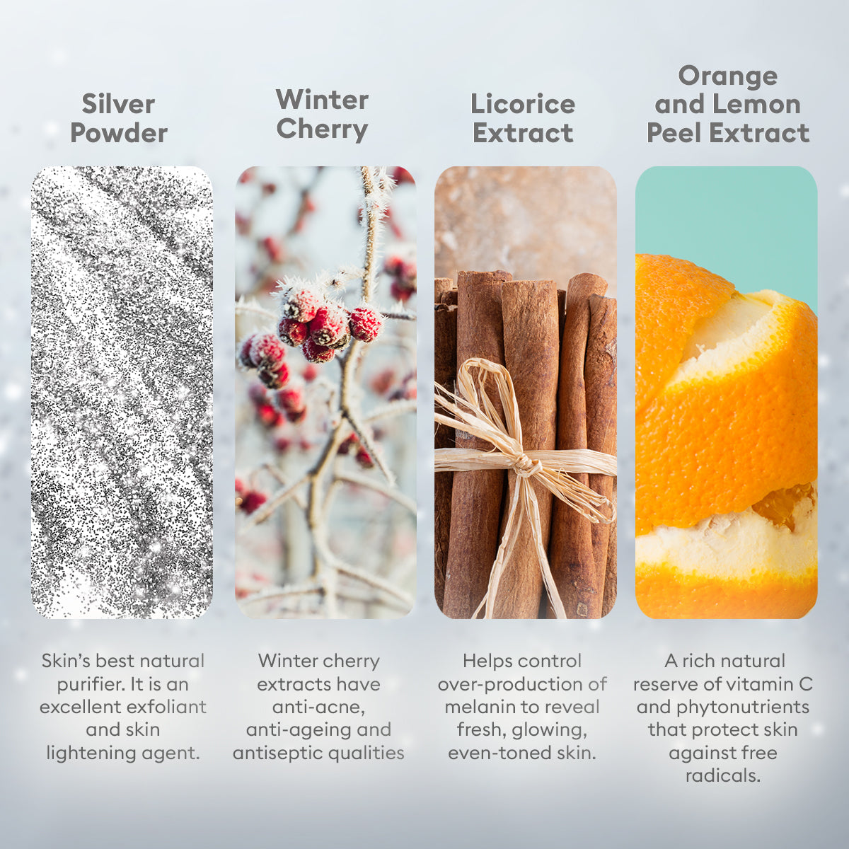 VLCC Silver Facial Kit Detox & Skin Lightening 60g