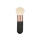 PROARTE FACE / BODY POLISHING BRUSH AP15