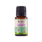 PILGRIM Spanish Rosemary Essential Oil 10ml