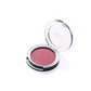 Faces Canada Perfect Blush 5g