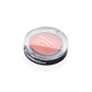 Faces Canada Perfect Blush 5g