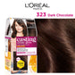 Loreal Paris Casting Creme Gloss Color 323 Dark Chocolate 87.5g+72ml