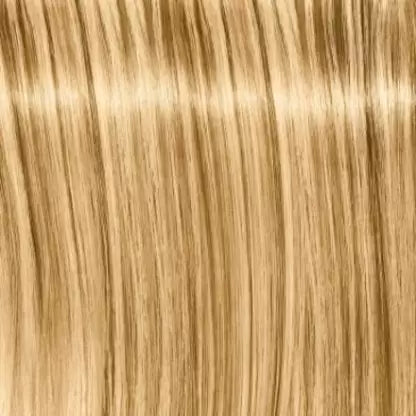 Schwarzkopf Igora Royal Hair Color