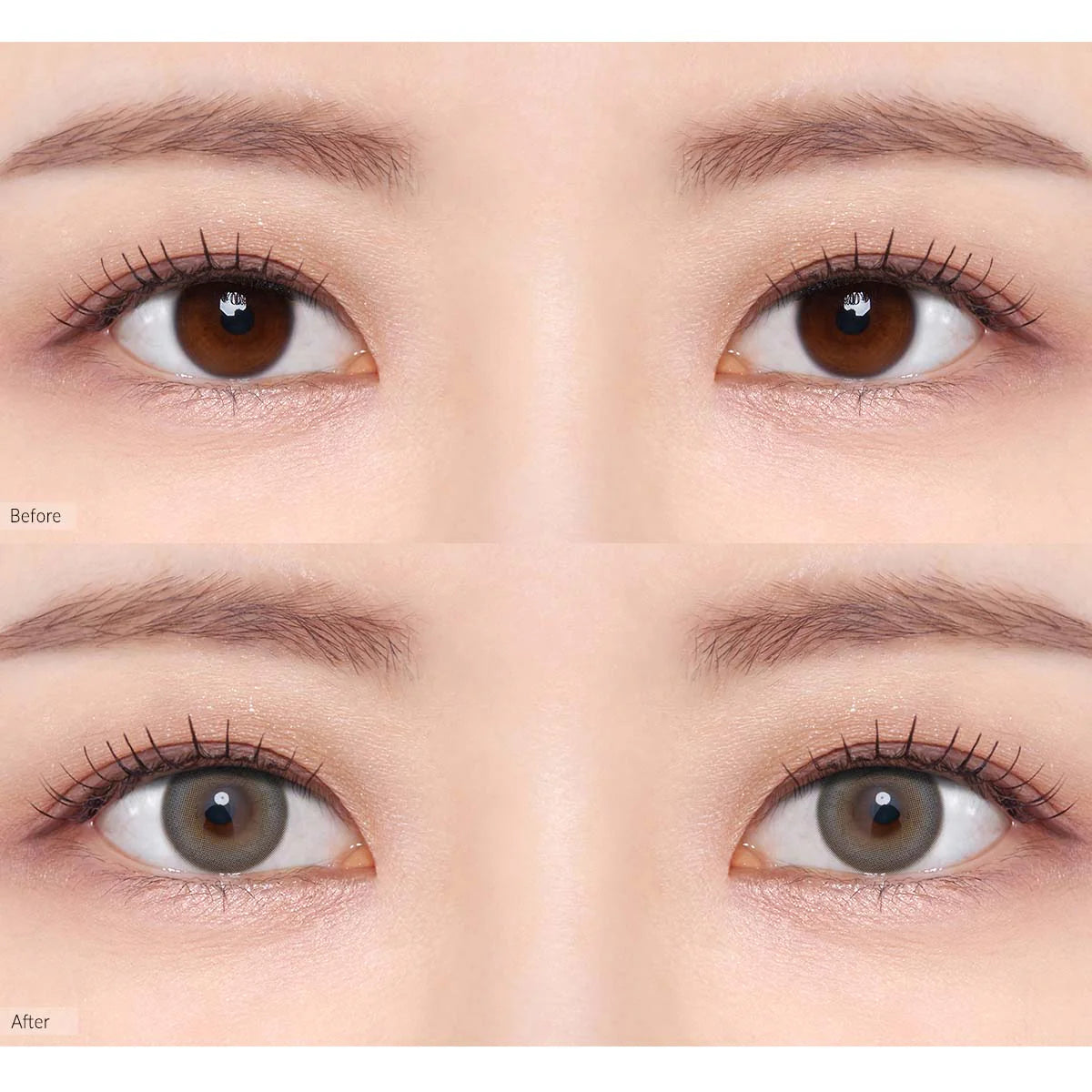 O-LENS 1 Day - Coloured Contact Lens (Daily) - 5 Pair(10pcs)