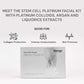 Raaga Professional Platinum Facial Kit 6 Steps
