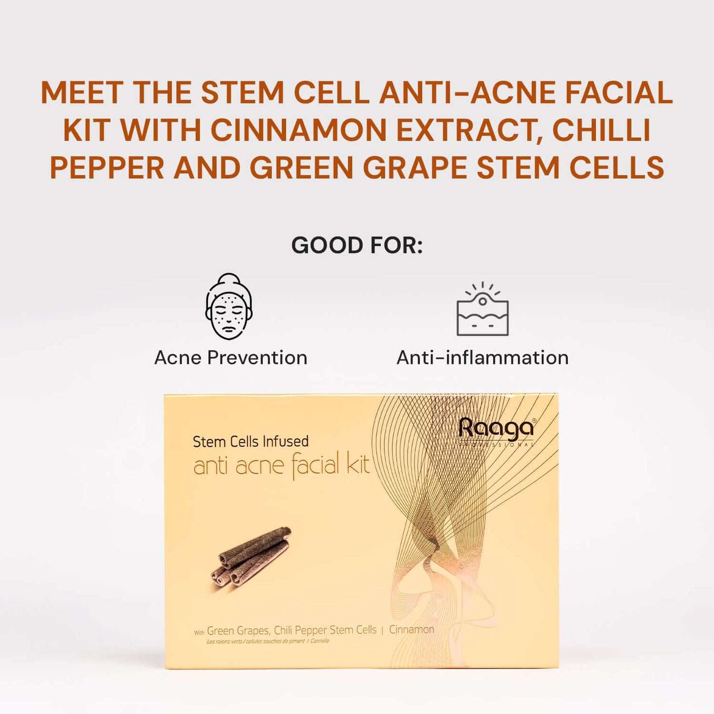 Raaga Professional Anti Acne Facial Kit 6 Steps