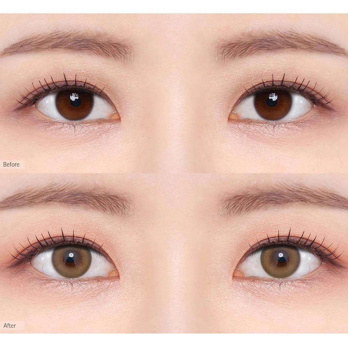 O-LENS 1 Day - Coloured Contact Lens (Daily) - 5 Pair(10pcs)