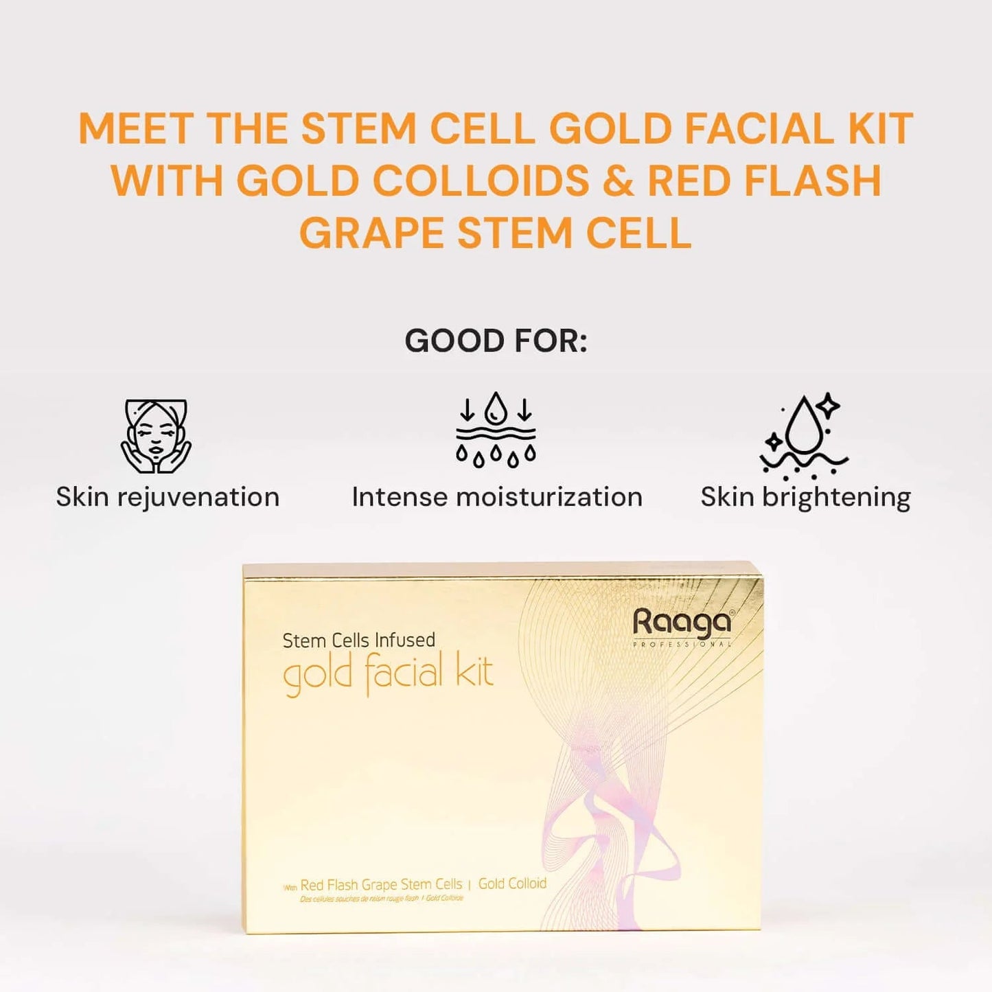 Raaga Professional Gold Facial Kit 6 Steps