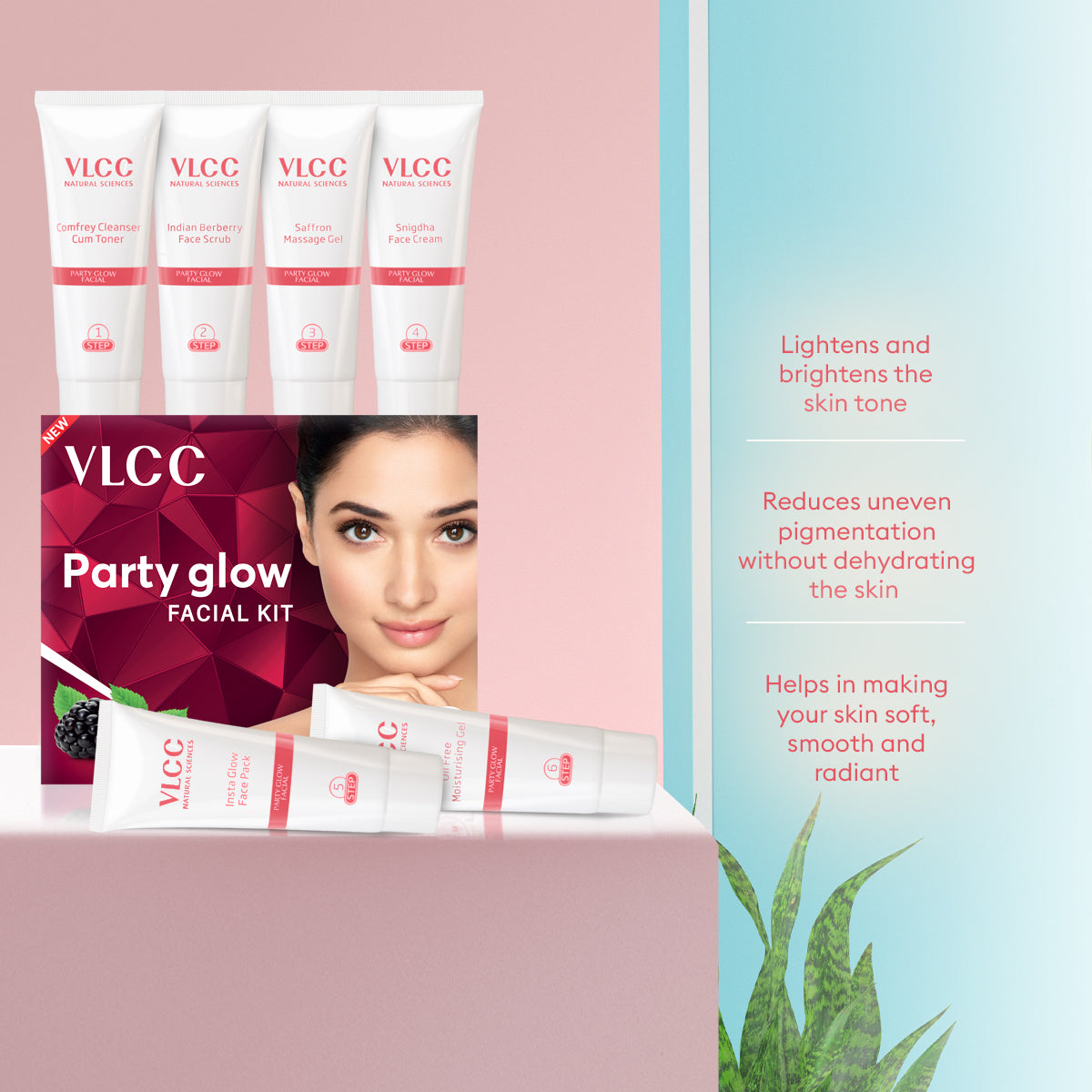 VLCC Party Glow Facial Kit 60g