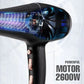 VEGA PROFESSIONAL Pro Dry 2600 Hair Dryer - VPPHD-11