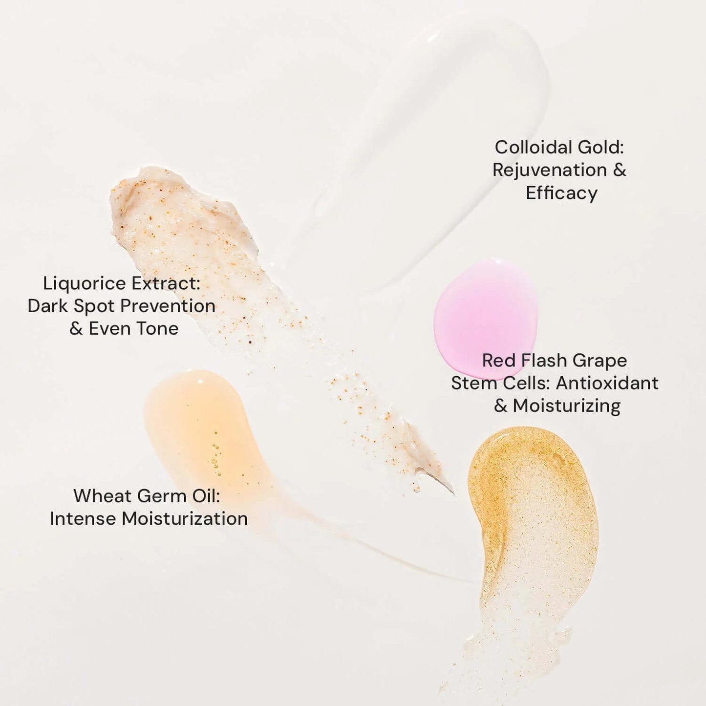 Raaga Professional Gold Facial Kit 6 Steps