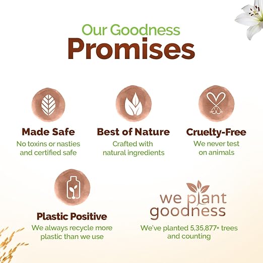 Mamaearth Rice Water Moisturizing Body Wash with Rice Water & Hydrating Lily Scent for Dewy Glass Skin - 275 ml | Intensely Moisturizes |Long Lasting Fragrance |Deeply Cleanses |Gentle |All Skin Types 275ml