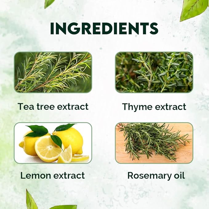 Jovees Herbal Thyme & Tea Tree Anti Dandruff Shampoo | With Tea Tree, Thyme & Lemon Extract | For All Hair Type | Prevents Dandruff & Dry Scalp 300ml