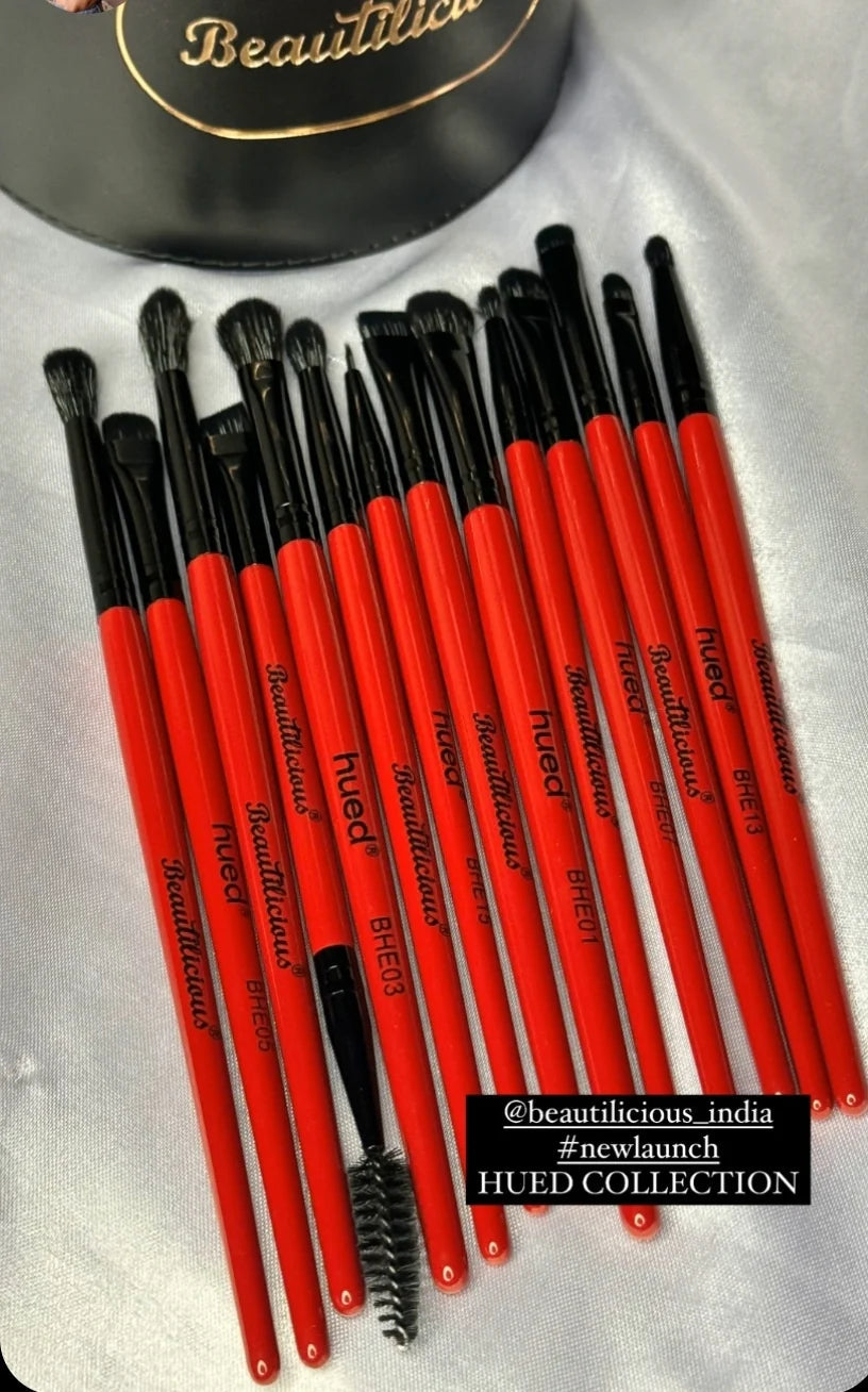 BEAUTILICIOUS Hued Collection Brush Kit (25 Pcs.) + Free Onyx Glam Brush book (Brush folder)