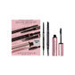 Anastasia Beverly hills Natural and Polished Deluxe Brow Kit