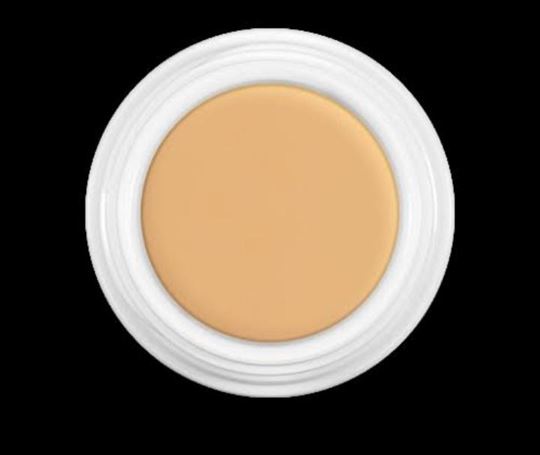 Kryolan Professional Derma Color Camouflage Creme DF1