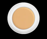 Kryolan Professional Derma Color Camouflage Creme DF1