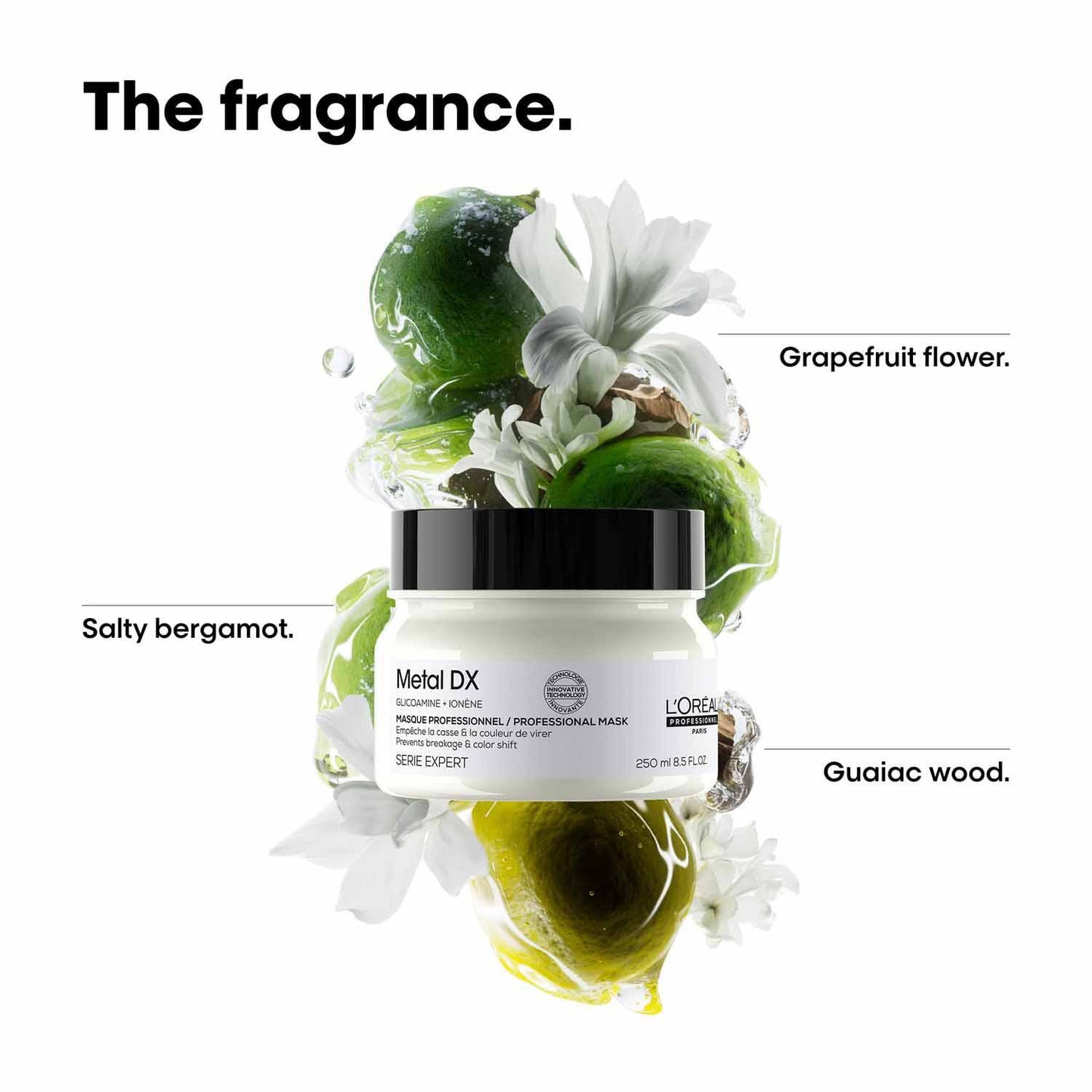 LOREAL PROFESSIONAL PARIS METAL DX MASK 250ML