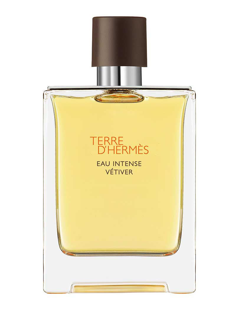 Terre d'Hermès Eau Intense Vétiver Eau de Parfum 100ml