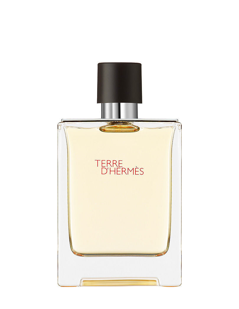 Terre d'Hermès Eau de Toilette 100ml